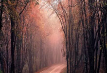 弘扬文化的舞台 民族团结的盛会——写在第十二届全国少数民族传统体育运动会开幕之际新华社.