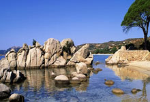 问鼎娱乐官网：英超俱乐部对皇家社会总监奥拉贝感兴趣.